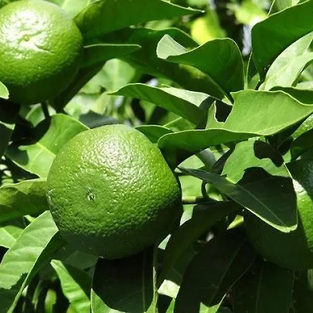 Apartman Seaview 3708 *