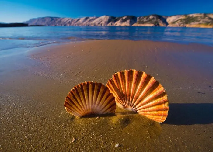 Lägenhet Seaview 3708 Kampor