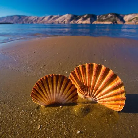 Apartman Seaview 3708 Kampor